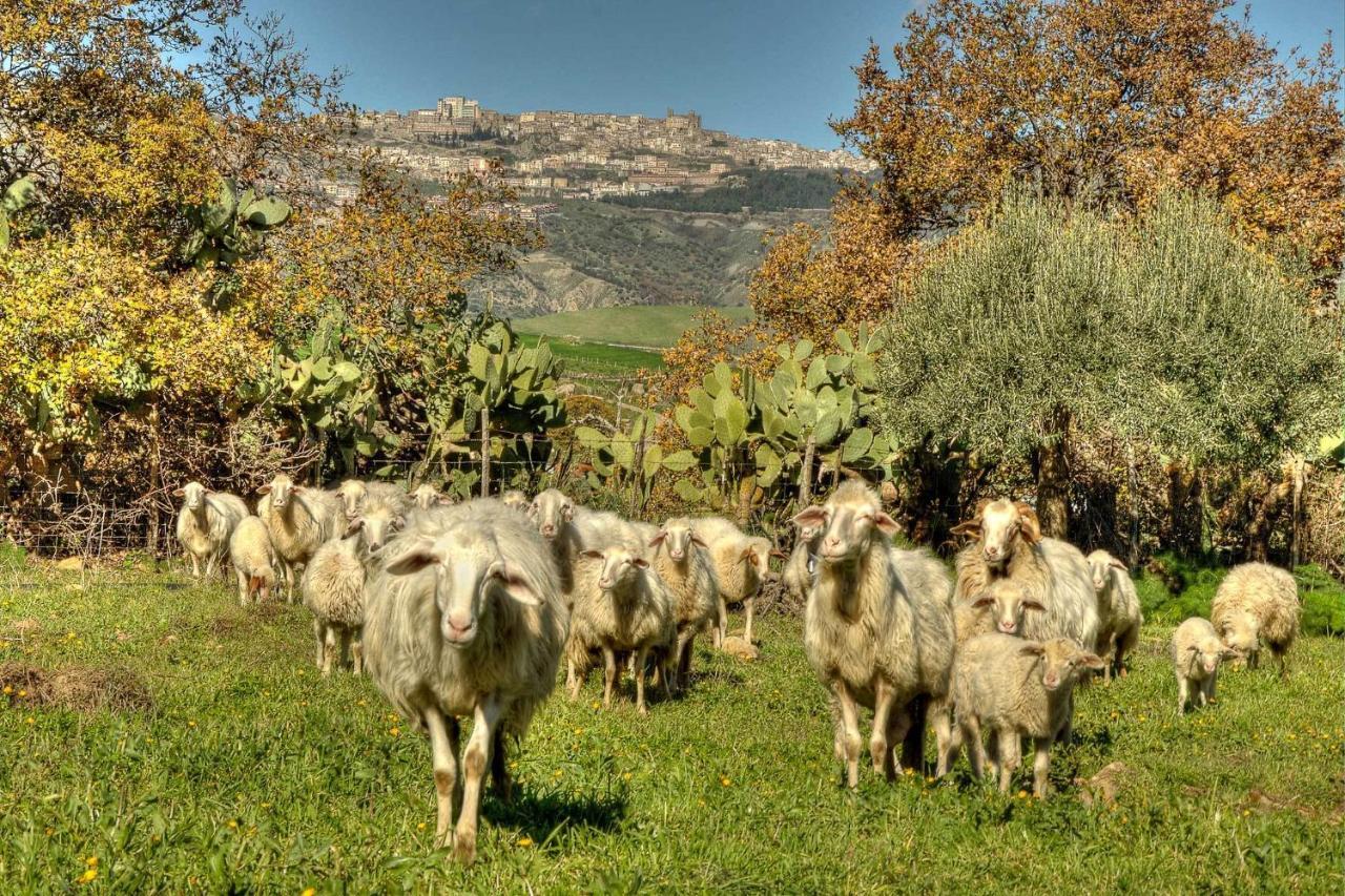 Le Querce Di Cota * Troina