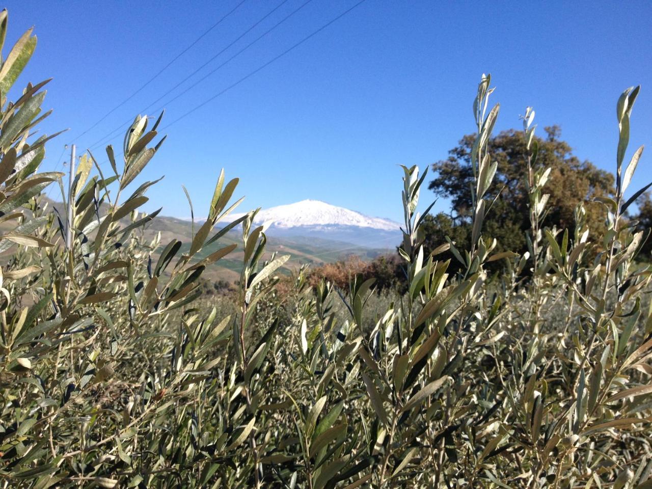Le Querce Di Cota Farm stay *